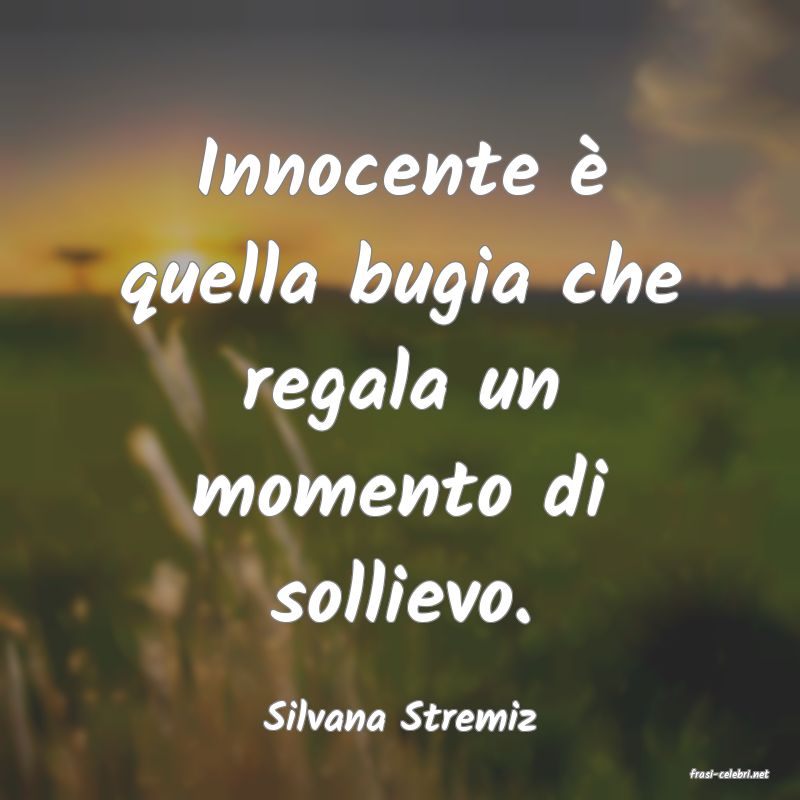 frasi di Silvana Stremiz