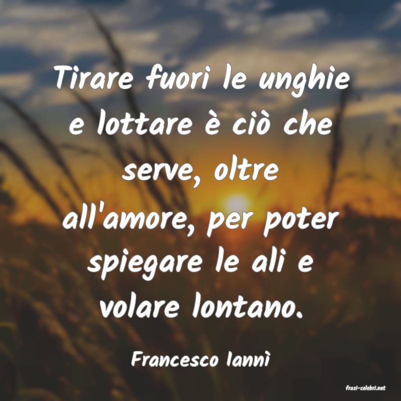 frasi di Francesco Iann�