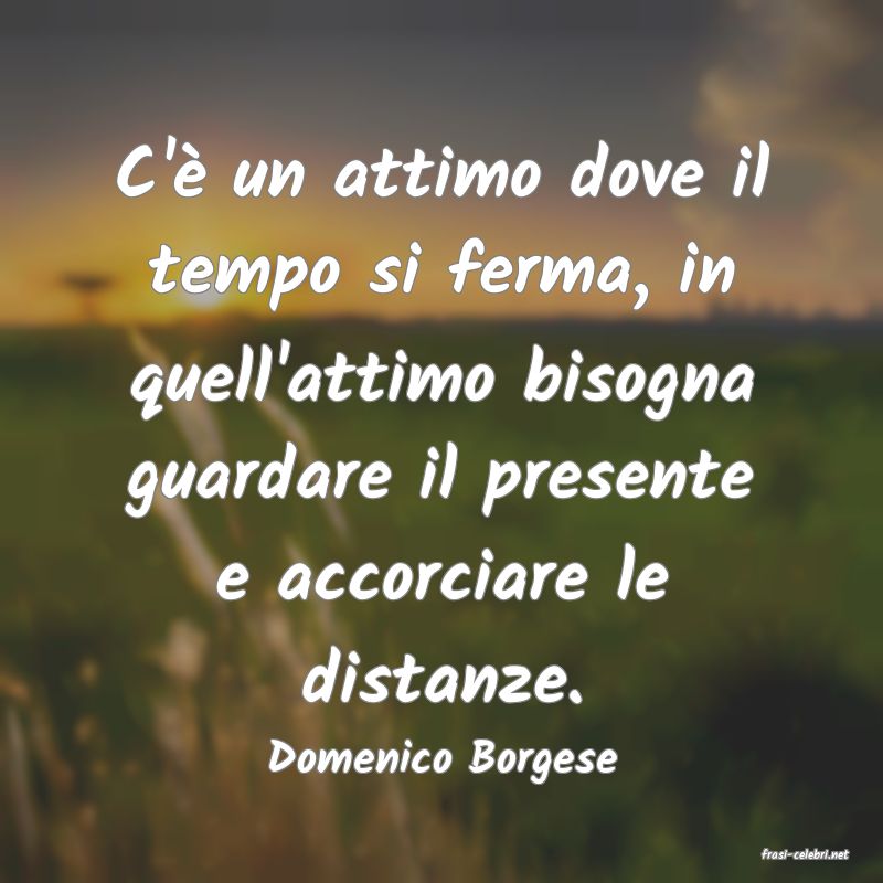 frasi di  Domenico Borgese
