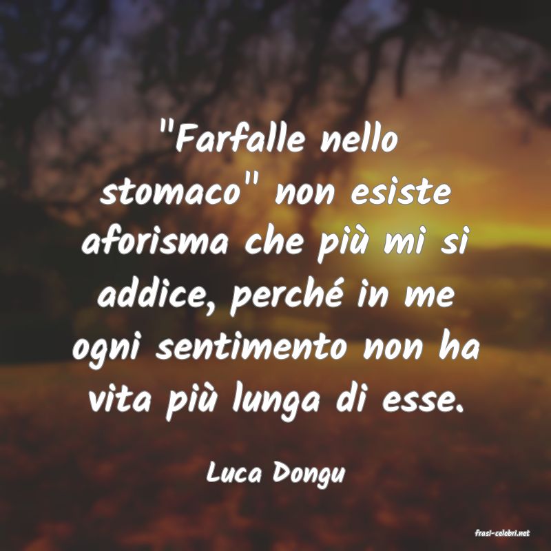 frasi di  Luca Dongu
