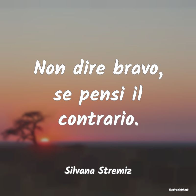 frasi di  Silvana Stremiz
