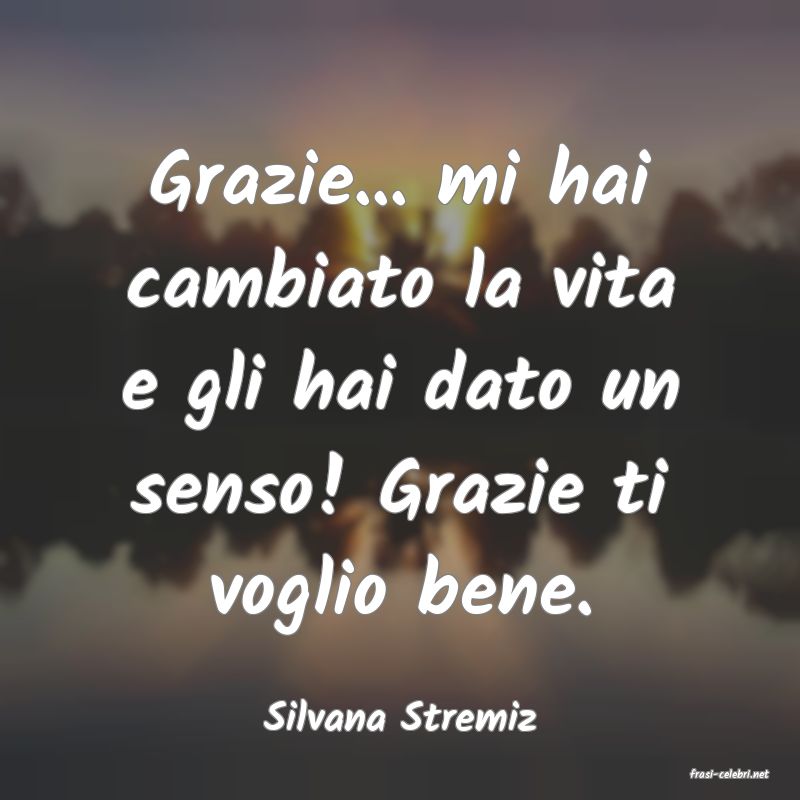 frasi di Silvana Stremiz