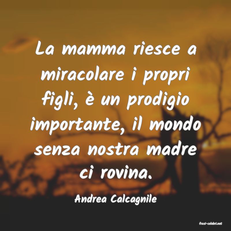 frasi di  Andrea Calcagnile
