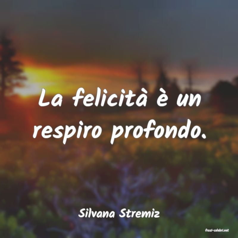 frasi di Silvana Stremiz