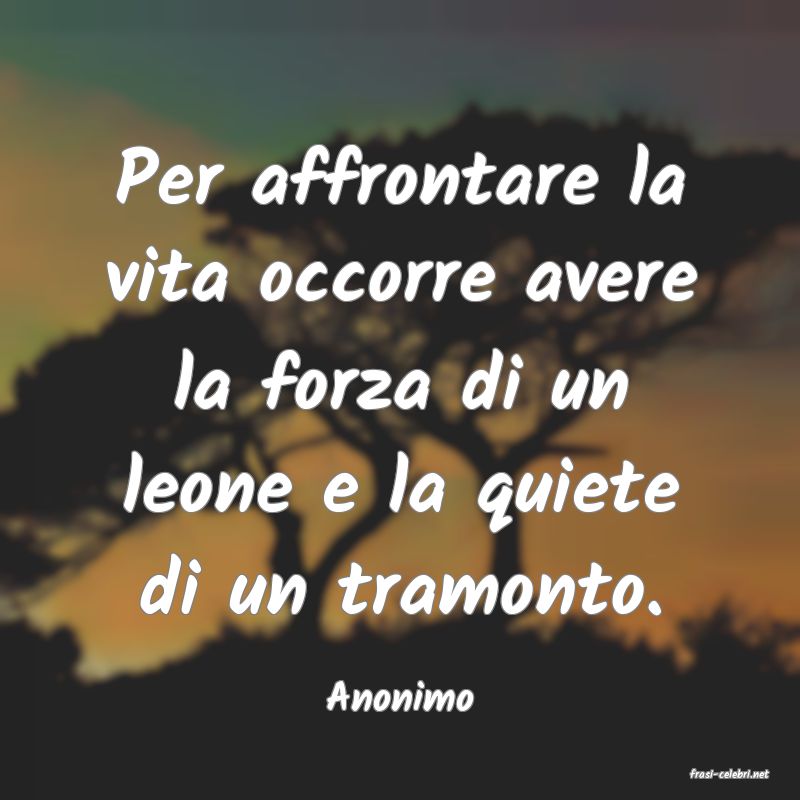 frasi di  Anonimo
