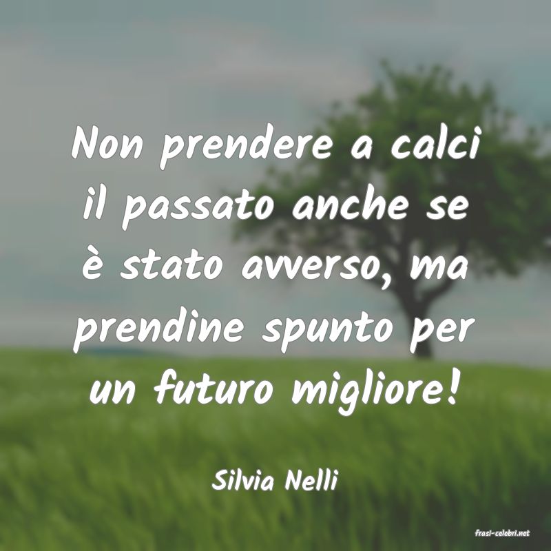 frasi di  Silvia Nelli
