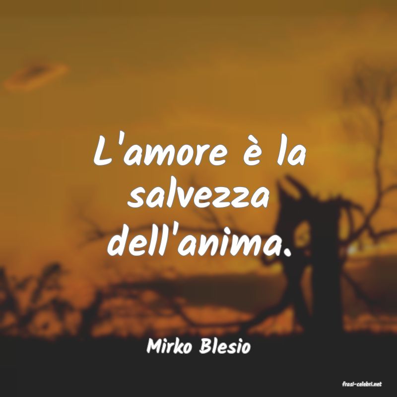 frasi di  Mirko Blesio
