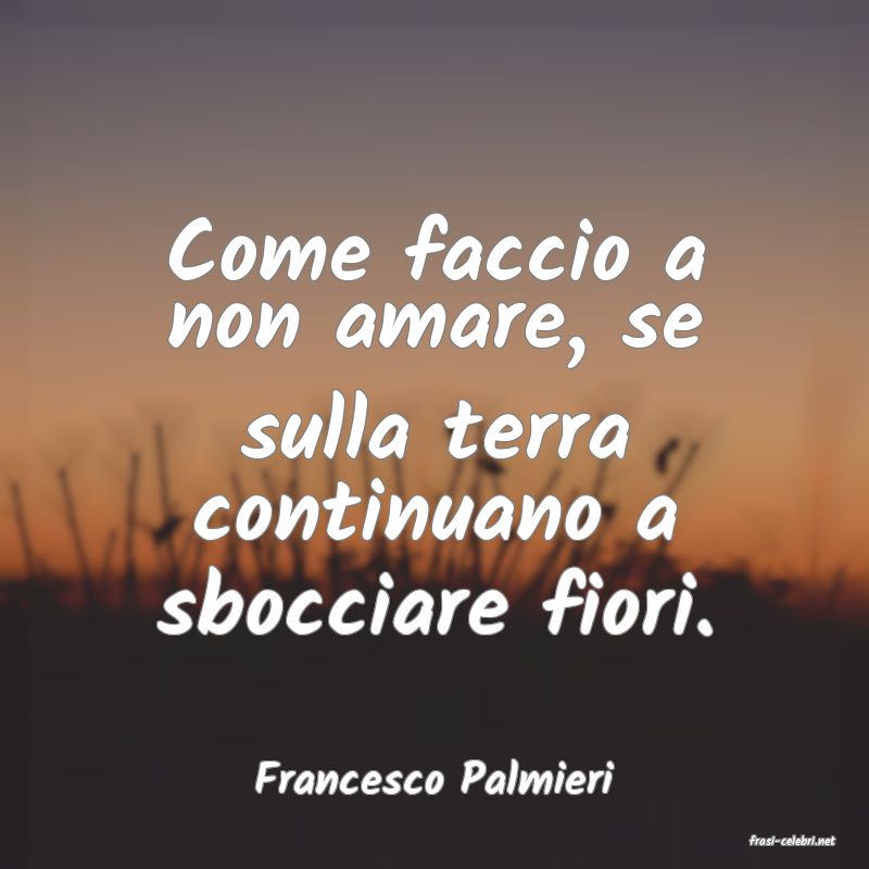 frasi di Francesco Palmieri