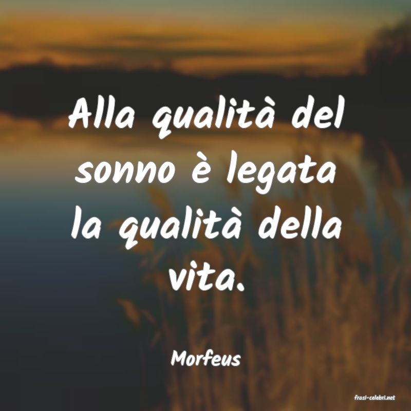 frasi di  Morfeus
