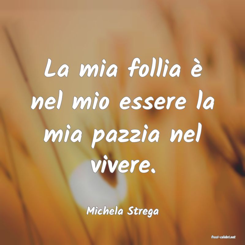frasi di  Michela Strega
