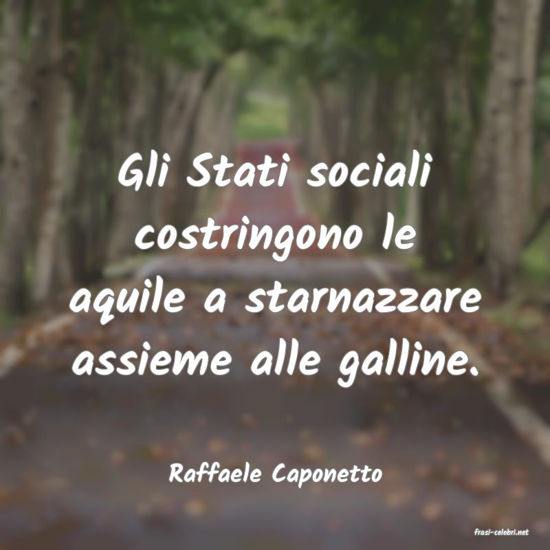 frasi di  Raffaele Caponetto
