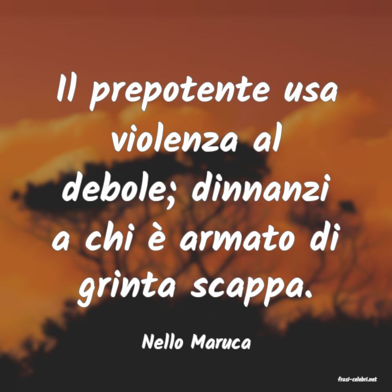 frasi di  Nello Maruca
