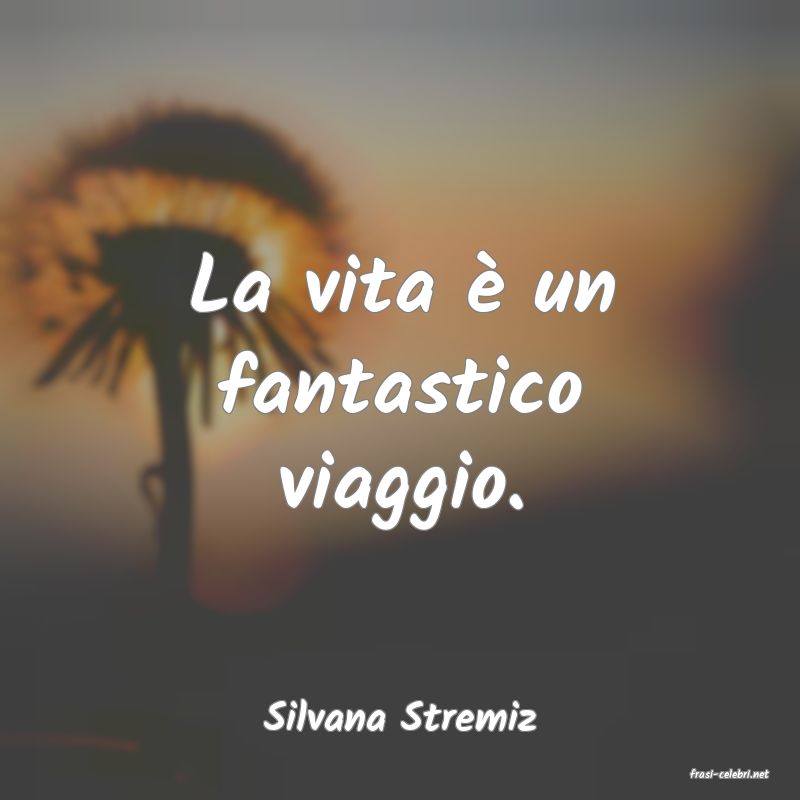 frasi di Silvana Stremiz