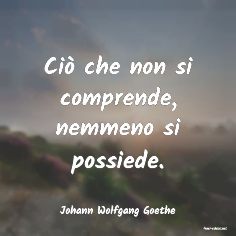 frasi di Johann Wolfgang Goethe