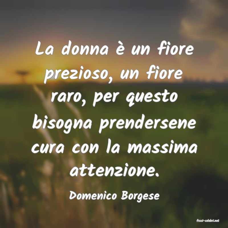 frasi di  Domenico Borgese
