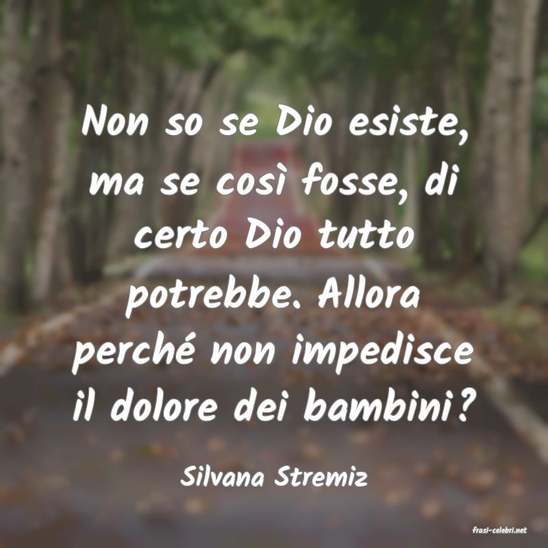 frasi di  Silvana Stremiz
