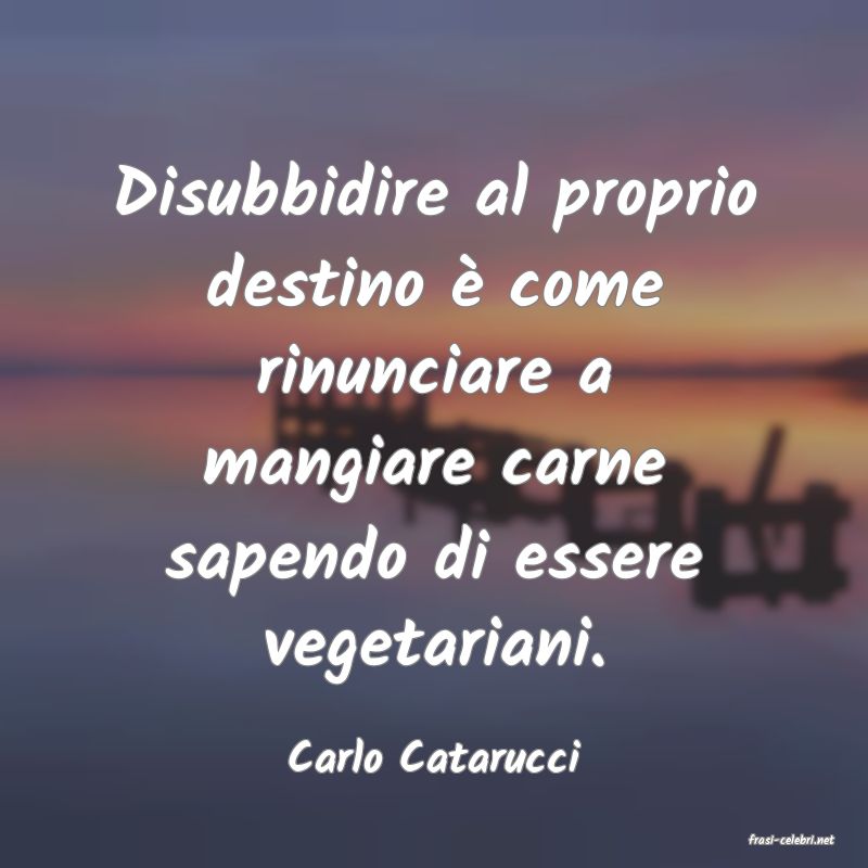 frasi di  Carlo Catarucci
