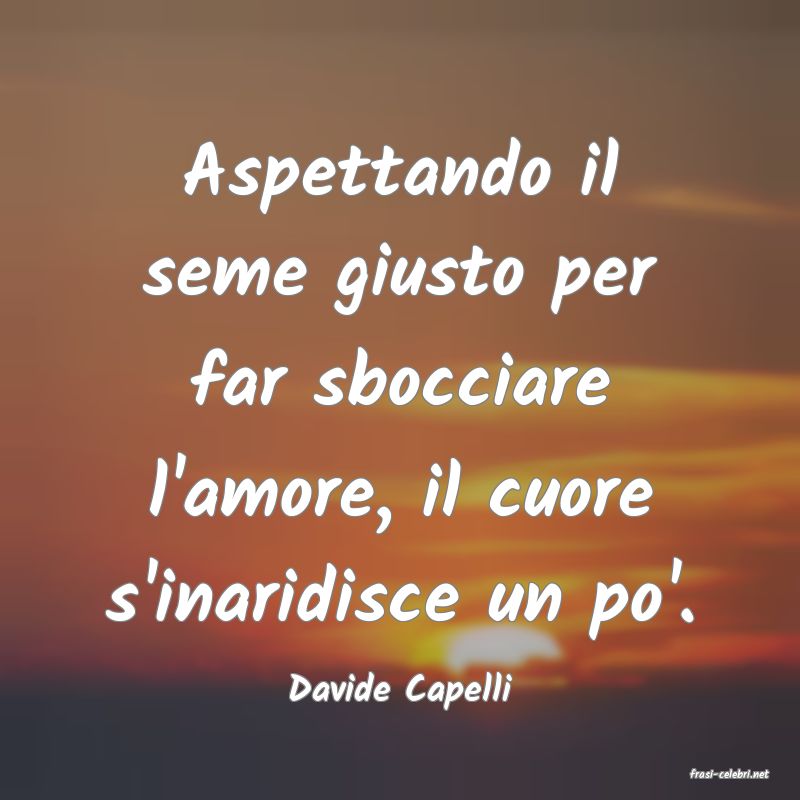 frasi di  Davide Capelli
