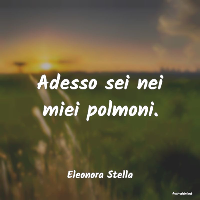 frasi di  Eleonora Stella

