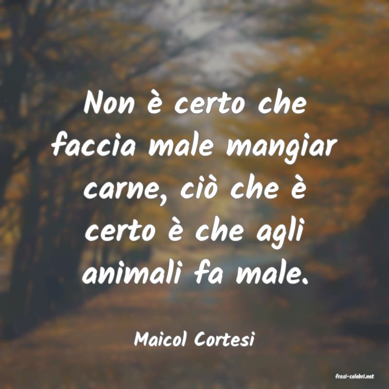 frasi di  Maicol Cortesi
