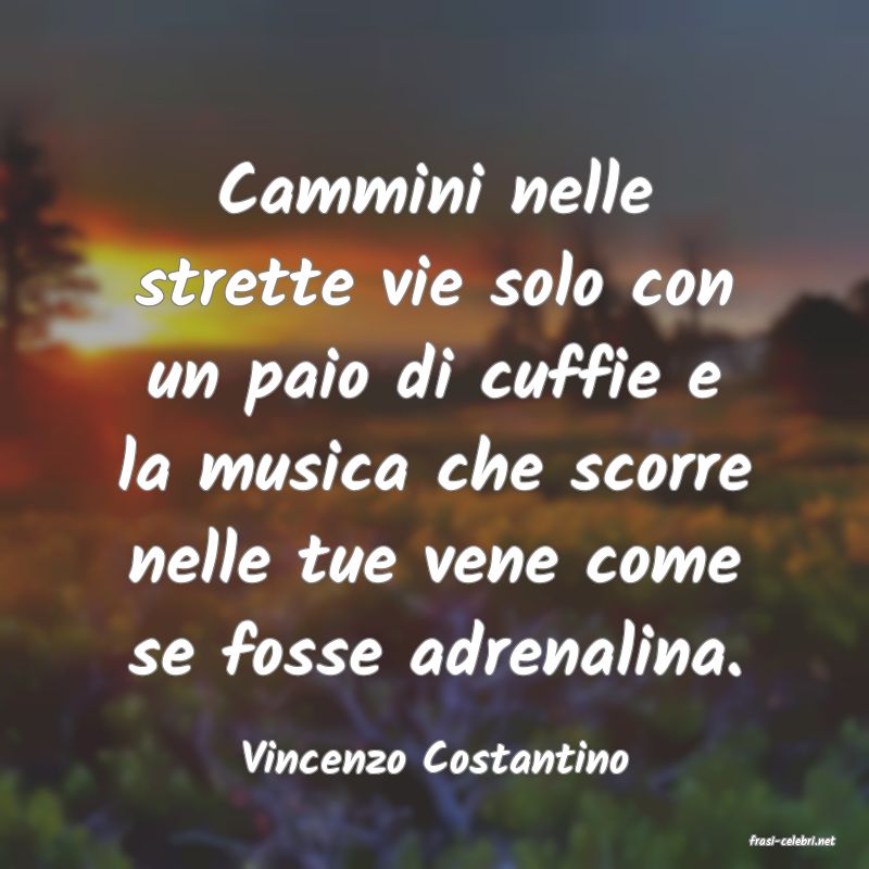 frasi di  Vincenzo Costantino
