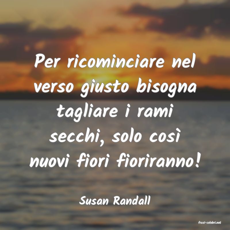 frasi di  Susan Randall
