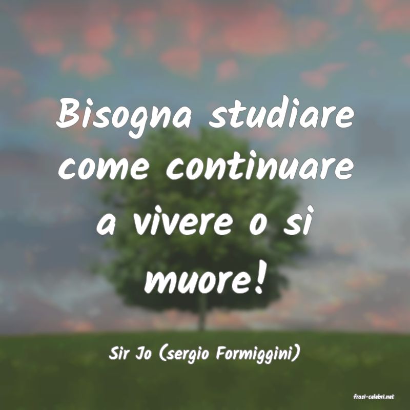 frasi di  Sir Jo (sergio Formiggini)
