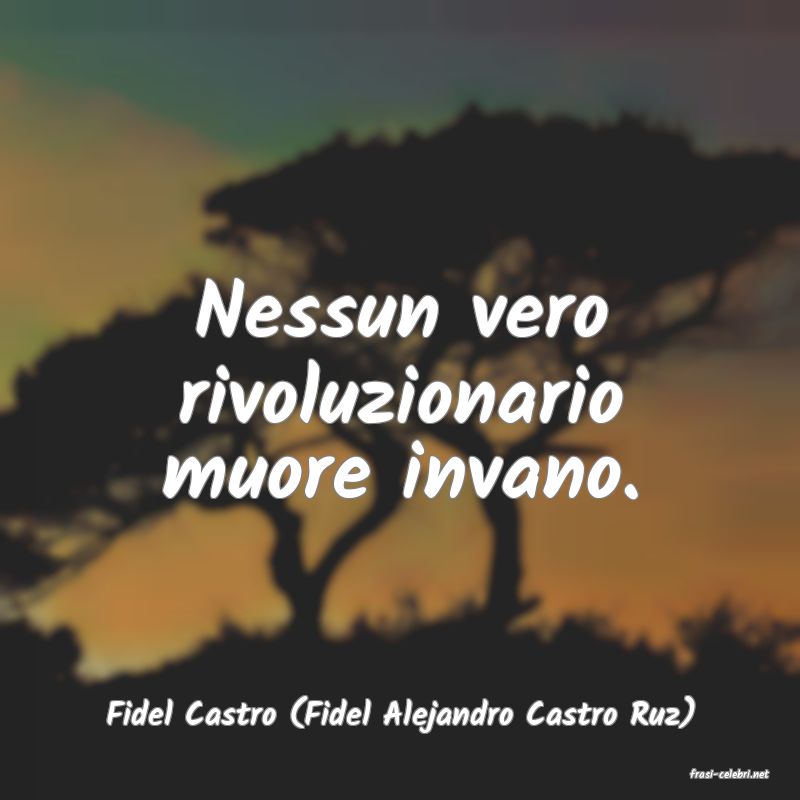frasi di Fidel Castro (Fidel Alejandro Castro Ruz)