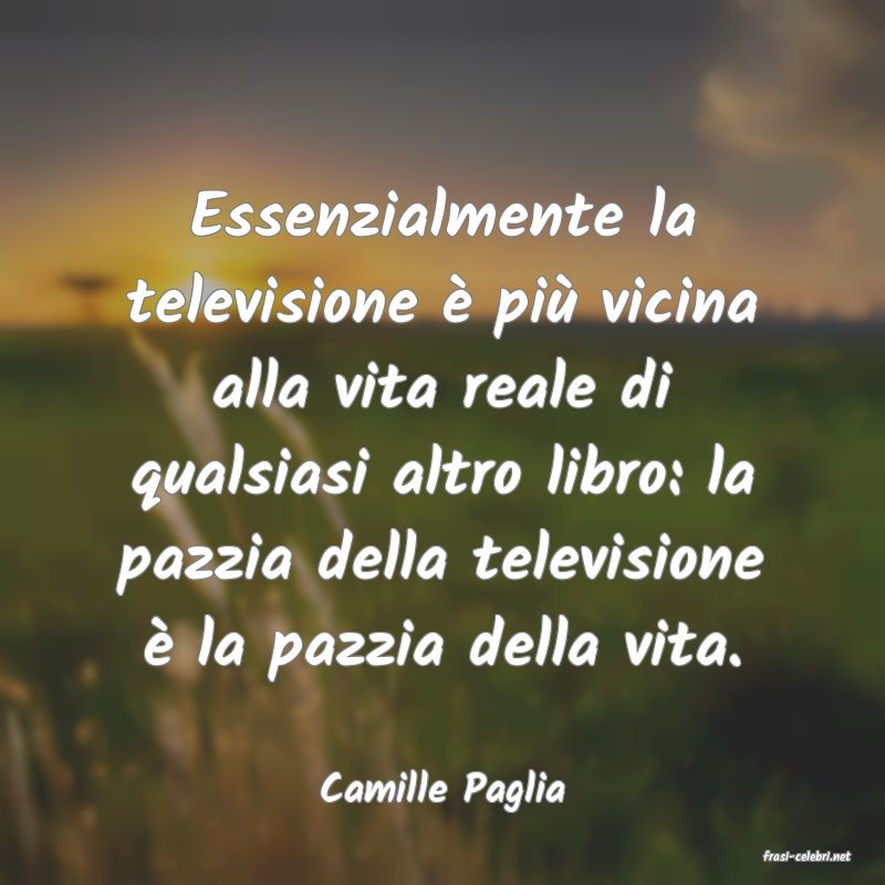 frasi di Camille Paglia