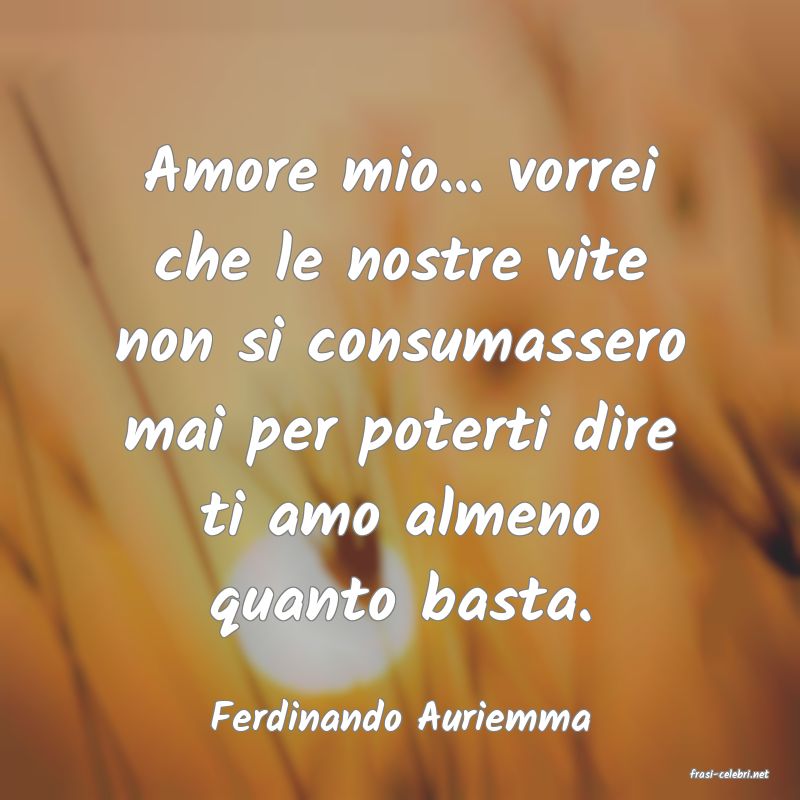 frasi di Ferdinando Auriemma