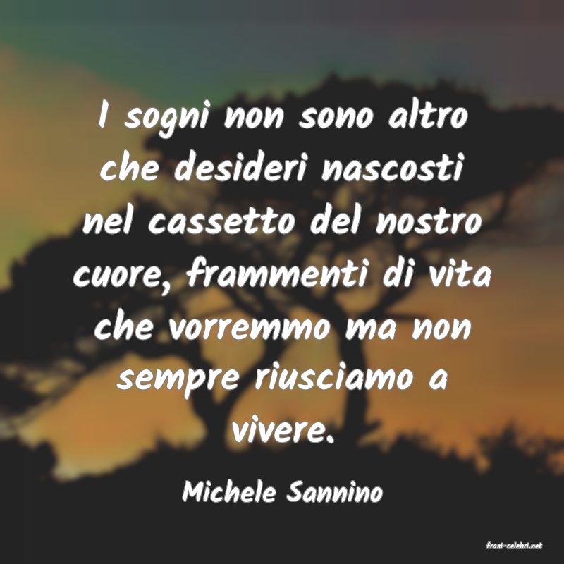 frasi di  Michele Sannino
