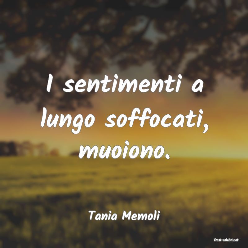 frasi di  Tania Memoli
