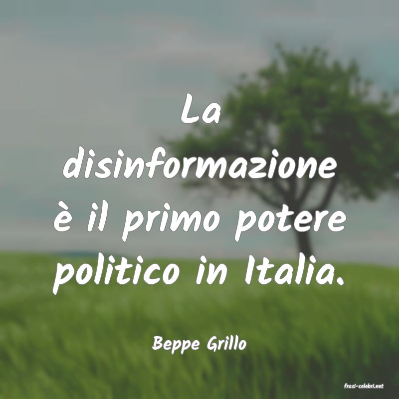 frasi di  Beppe Grillo
