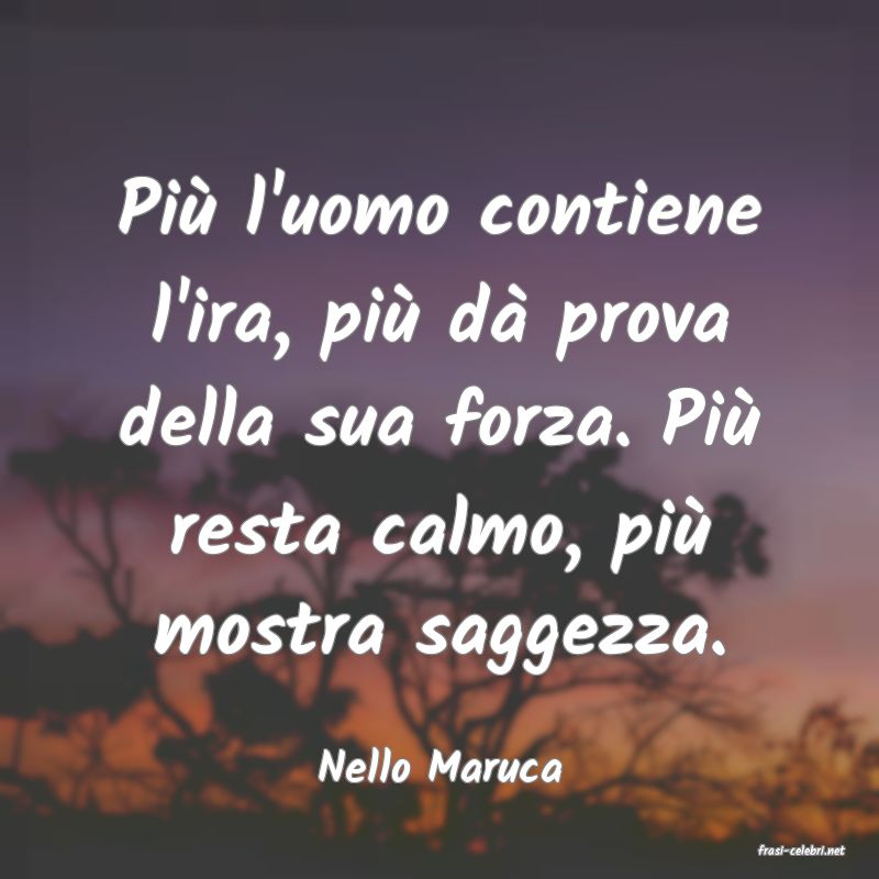 frasi di  Nello Maruca
