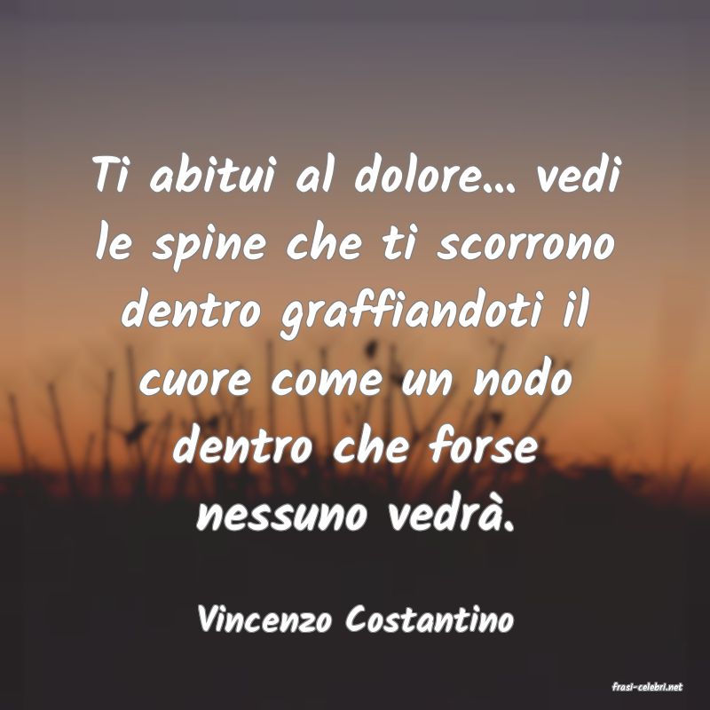 frasi di  Vincenzo Costantino
