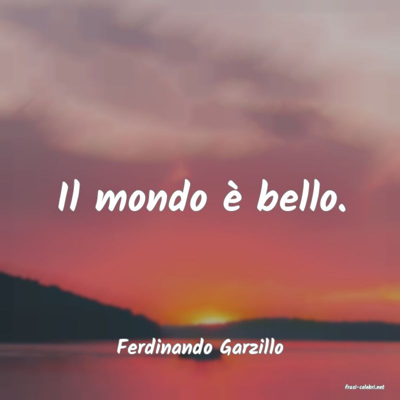 frasi di  Ferdinando Garzillo
