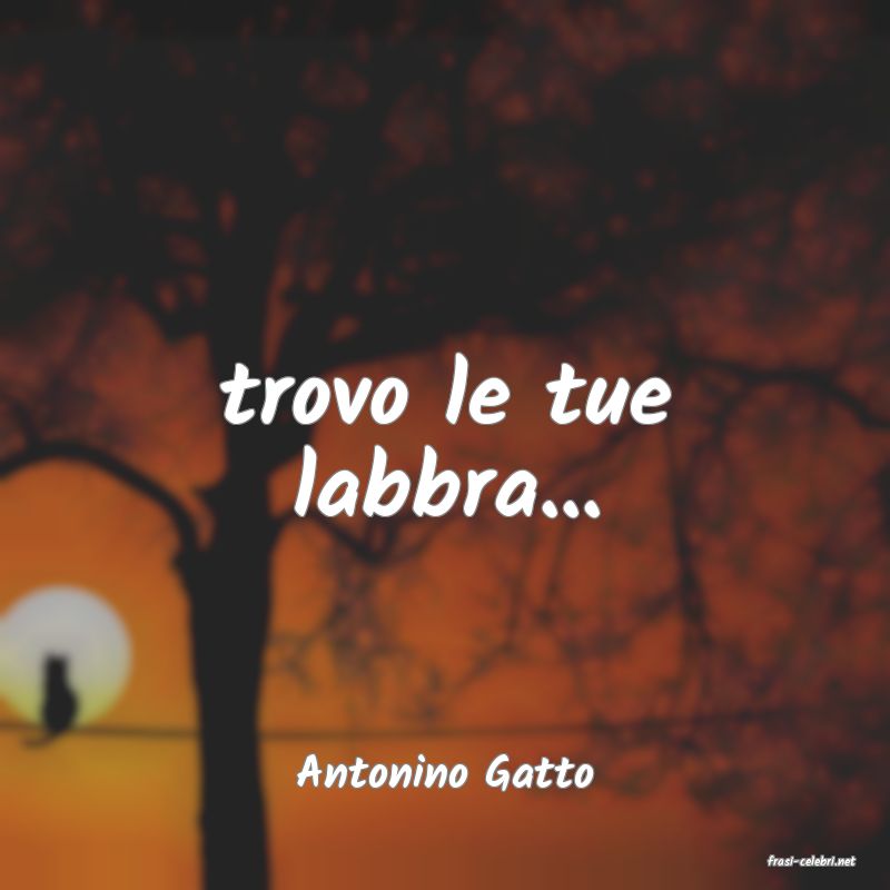 frasi di  Antonino Gatto
