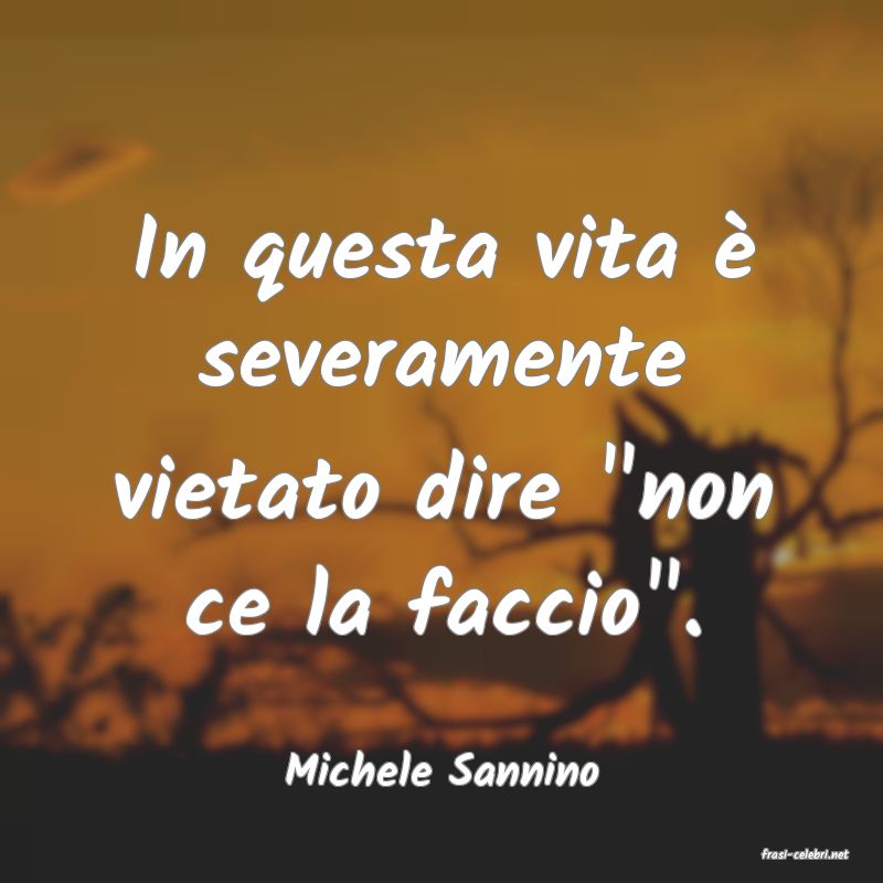 frasi di  Michele Sannino
