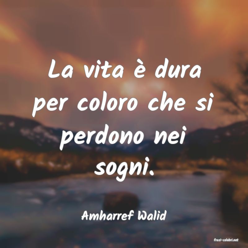 frasi di  Amharref Walid
