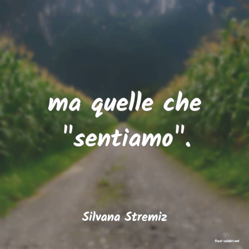 frasi di  Silvana Stremiz
