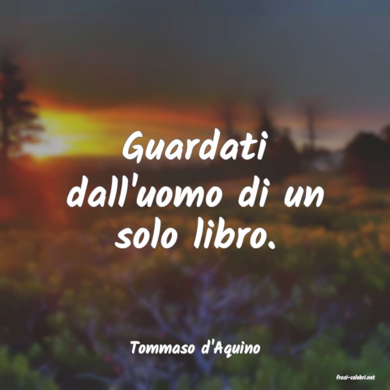 frasi di Tommaso d'Aquino