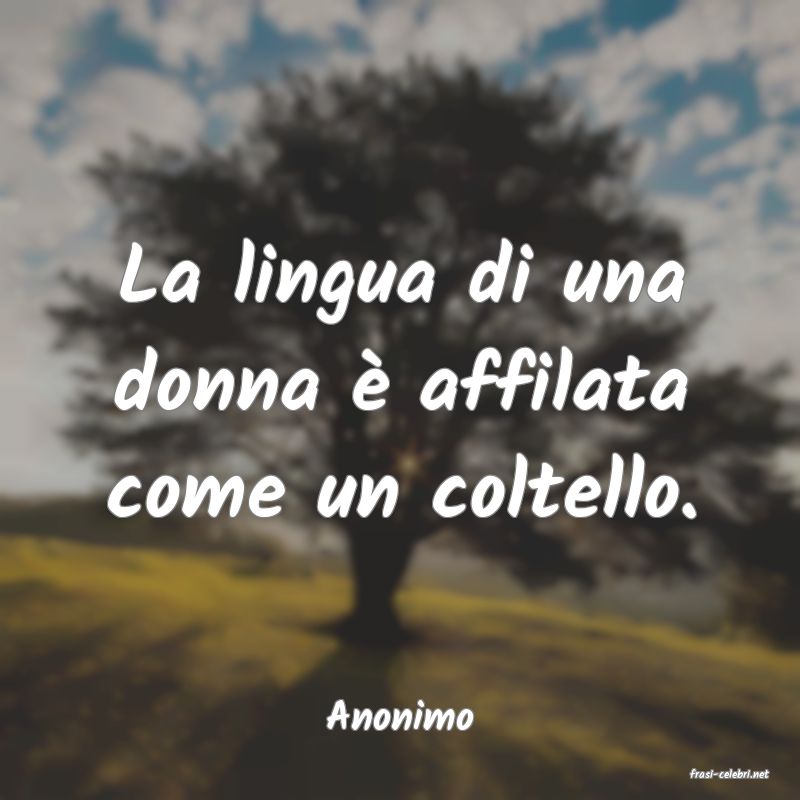 frasi di Anonimo