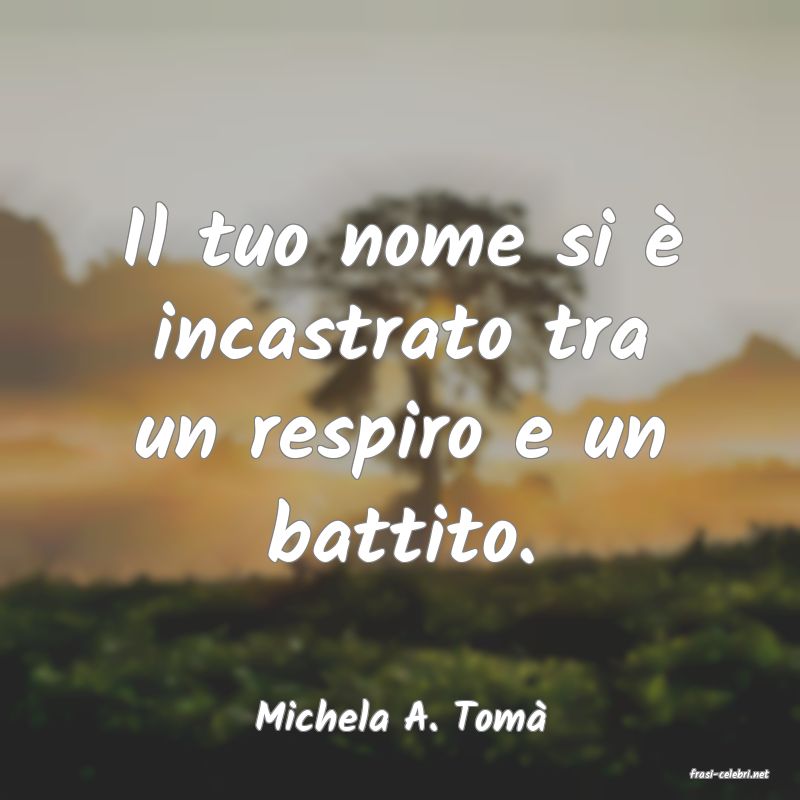 frasi di Michela A. Tom�