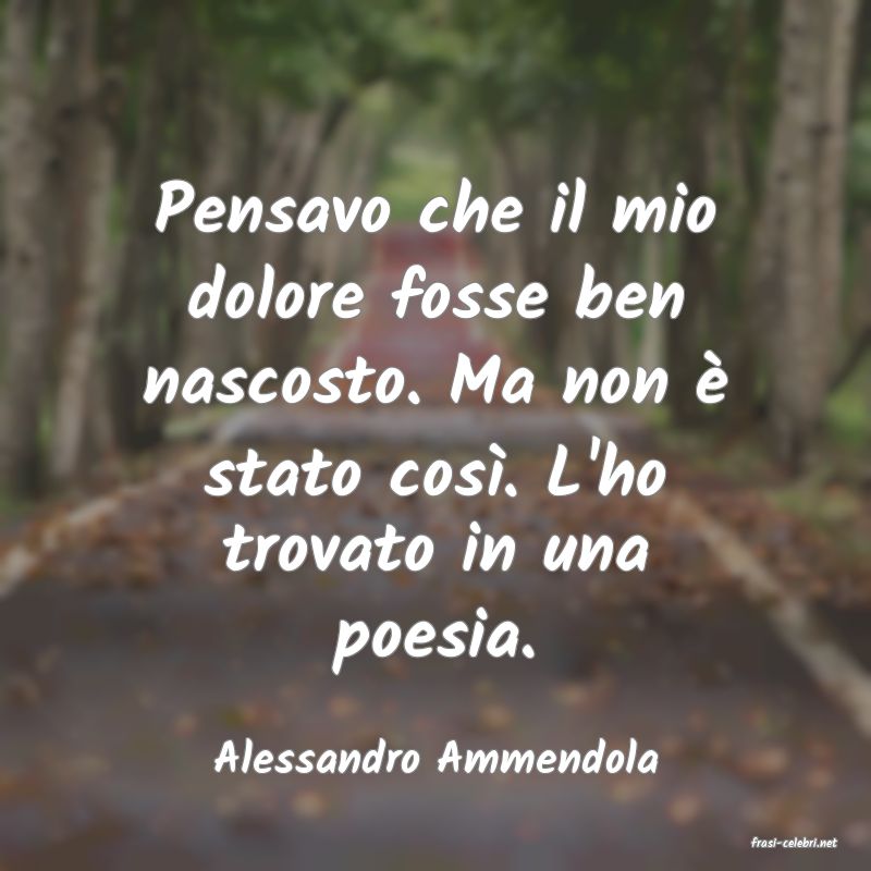 frasi di  Alessandro Ammendola
