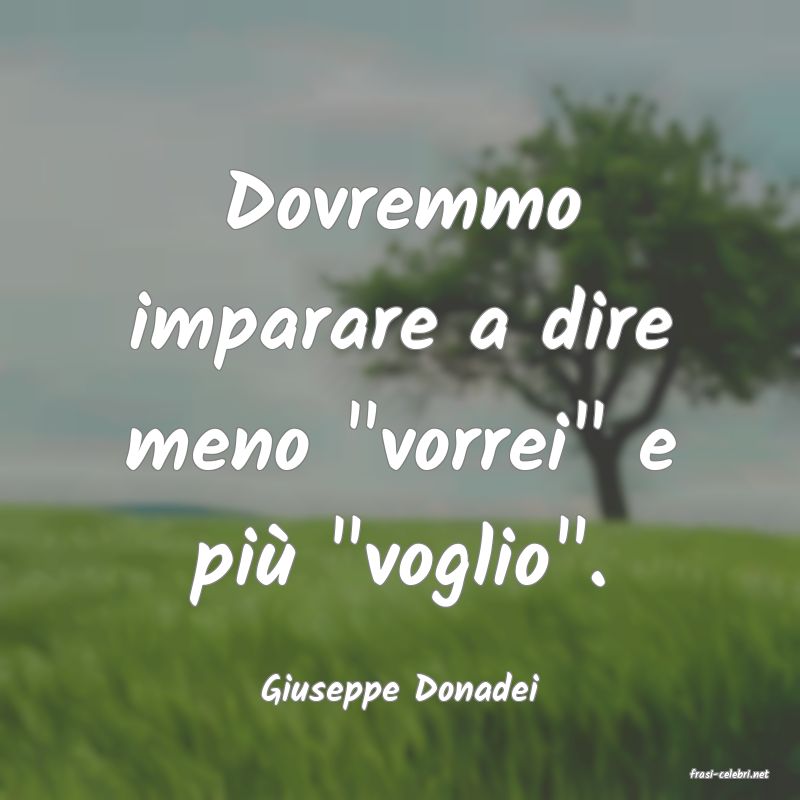 frasi di  Giuseppe Donadei

