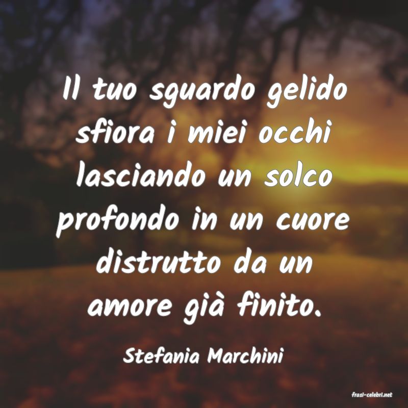 frasi di Stefania Marchini
