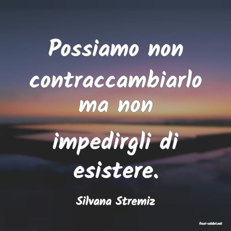 frasi di  Silvana Stremiz
