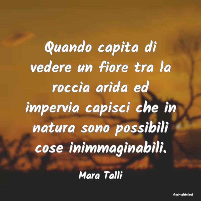 frasi di  Mara Talli

