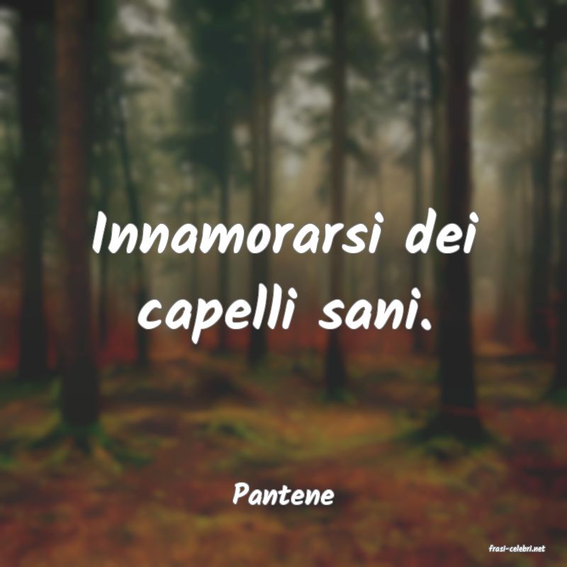 frasi di  Pantene
