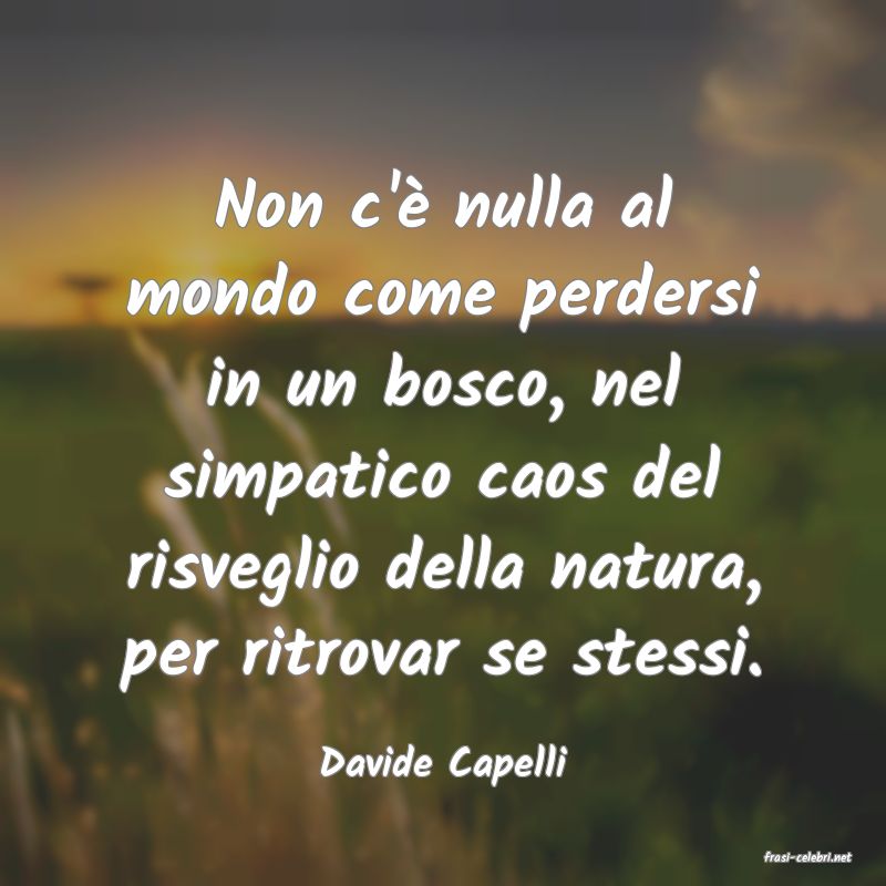 frasi di  Davide Capelli
